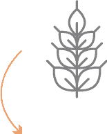 process icon 1
