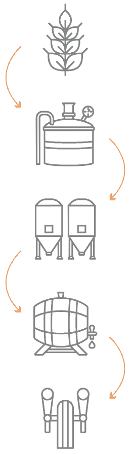 brewing proccess graphicMOBILE