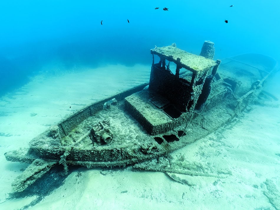 Plongez n56 pcv lemario image 1