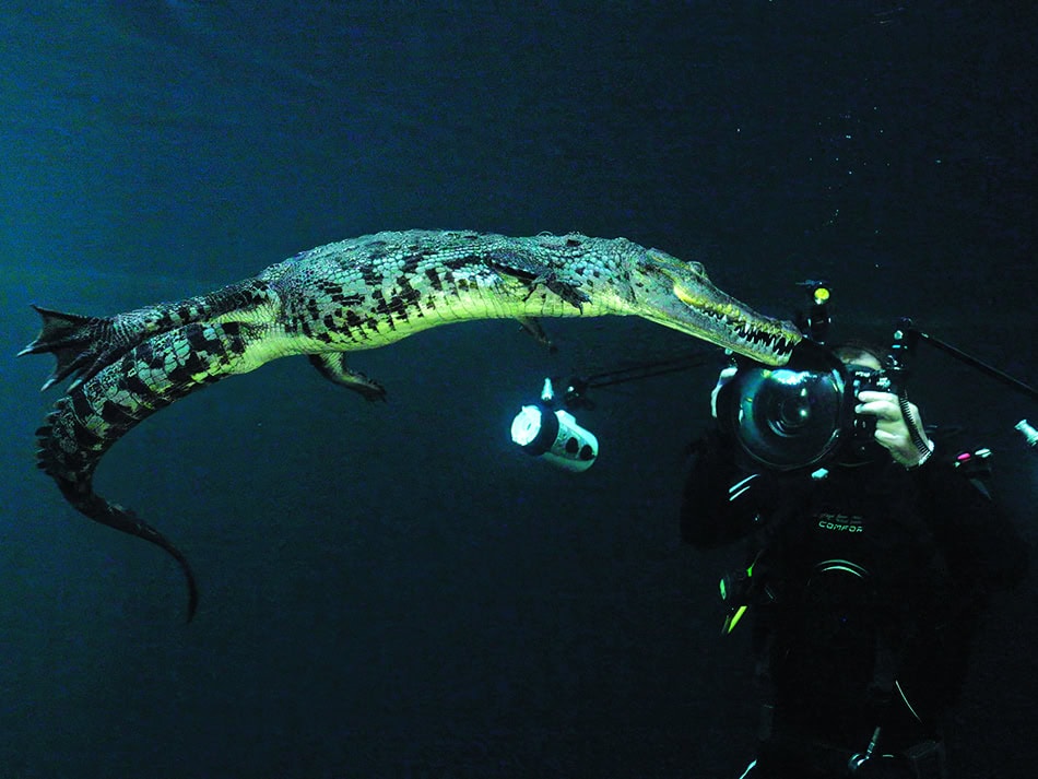 Plongez n56 aventure image 10