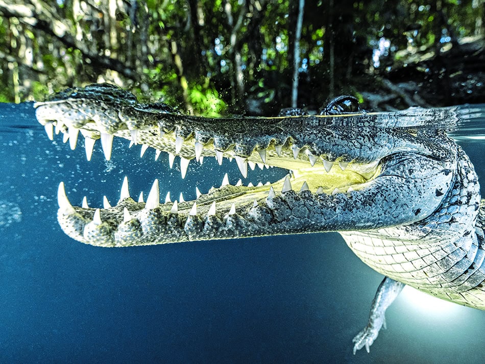 Plongez n56 aventure image 2