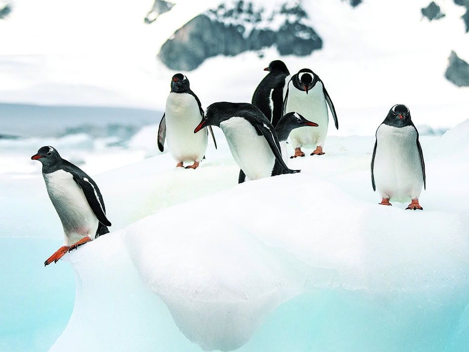 Plongez n56 biodiversite image 1