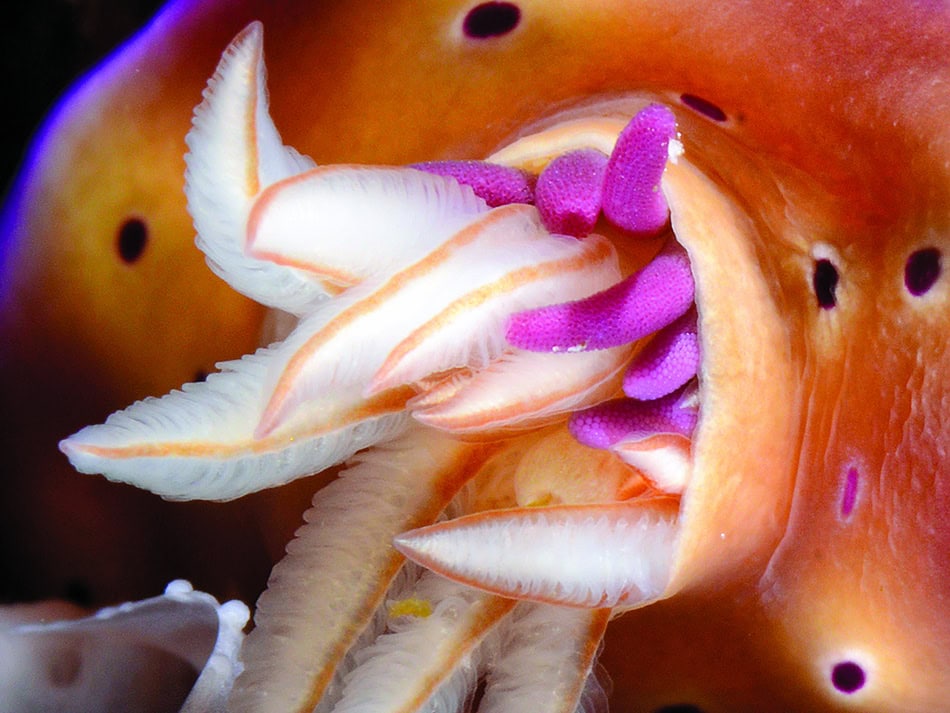 Plongez n56 educationdu regard image 3