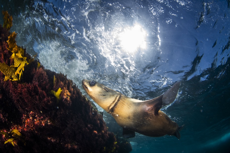 BRONZE Impact Pollution Daniel Sly