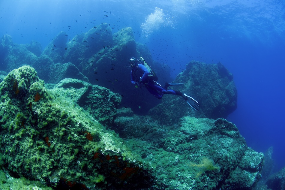 Ambiance medes, plongeur D1249