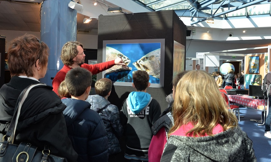 Galathea retrospective