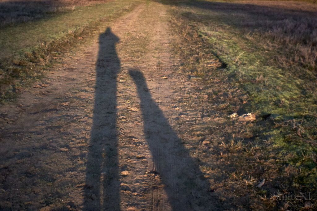 Een schaduw van een persoon en een hond geworpen op een onverhard pad tijdens zonsondergang, wat een nostalgisch en intiem moment in de natuur vastlegt.
