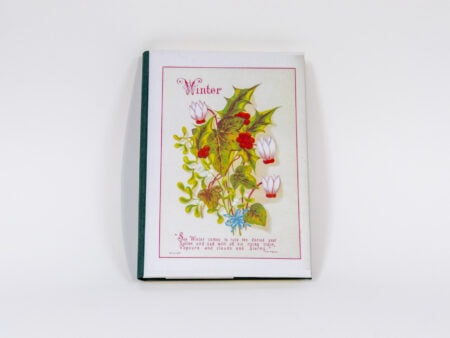 Vista de la portada del libro Winter