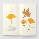 Ejemplo de uso del Recambio 025 para Traveler's Notebook