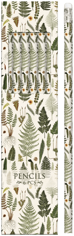 Set lápices con estampado de helechos