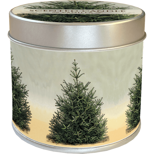 Vela abeto aroma vainilla Imagen de vela aromatica Skona Ting con aroma vainilla