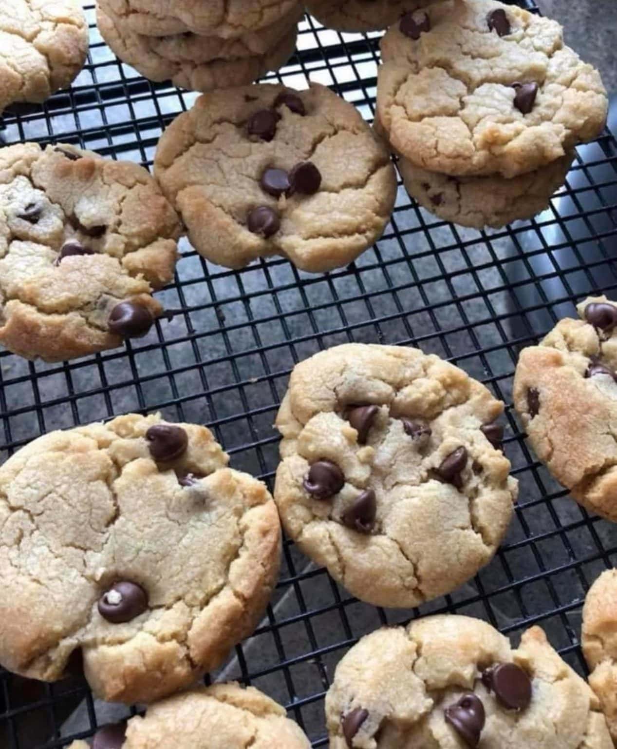 Freshly baked chocolate chip cookies cooling on a wire rack.