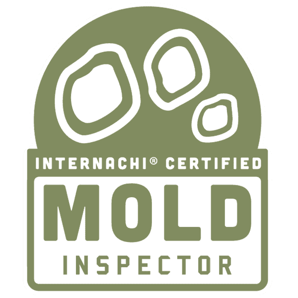mold