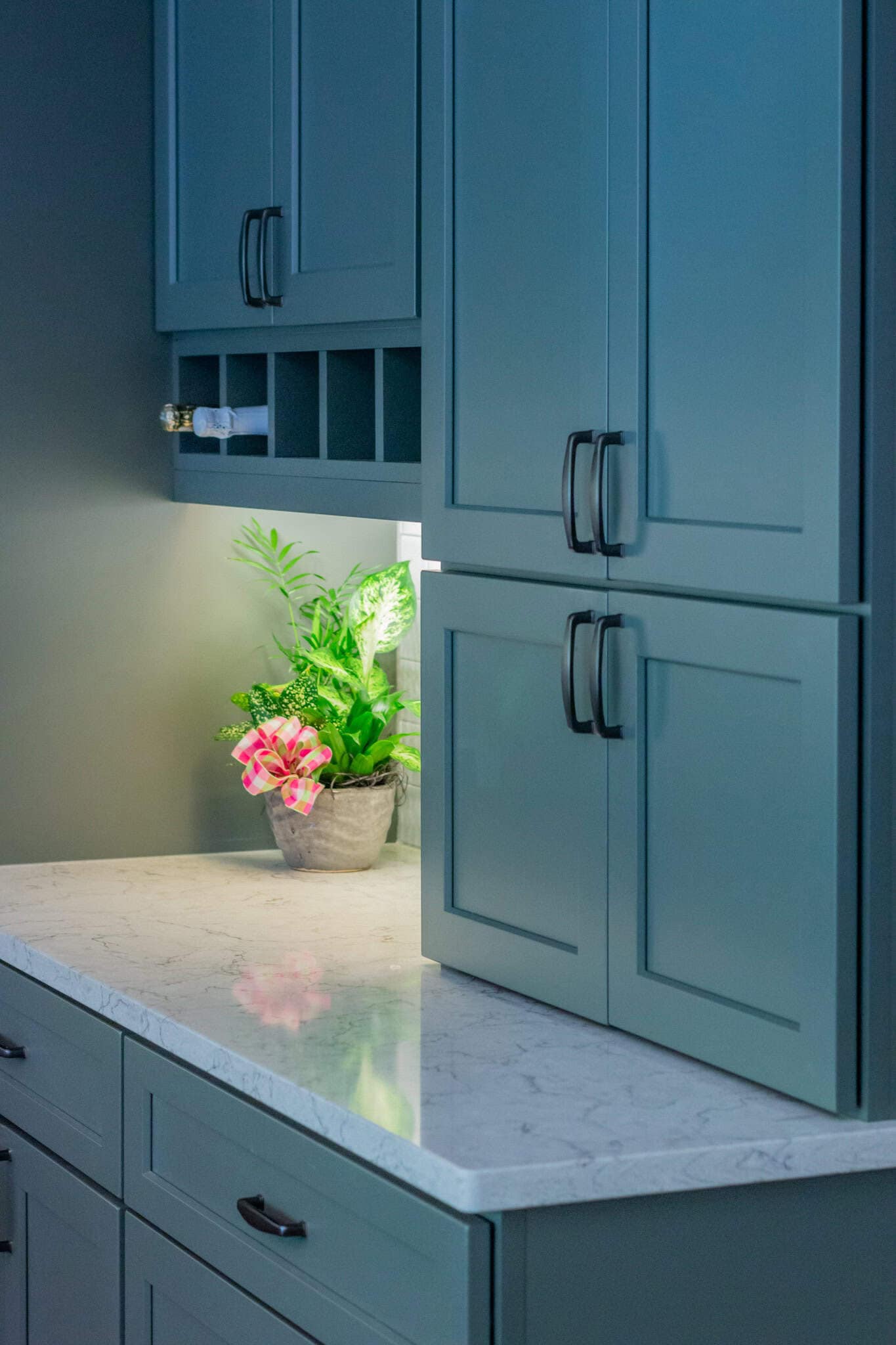 Blue kitchen cabinets with marble countertop and a potted plant.