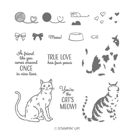 Happy Tails Nine Lives - 2