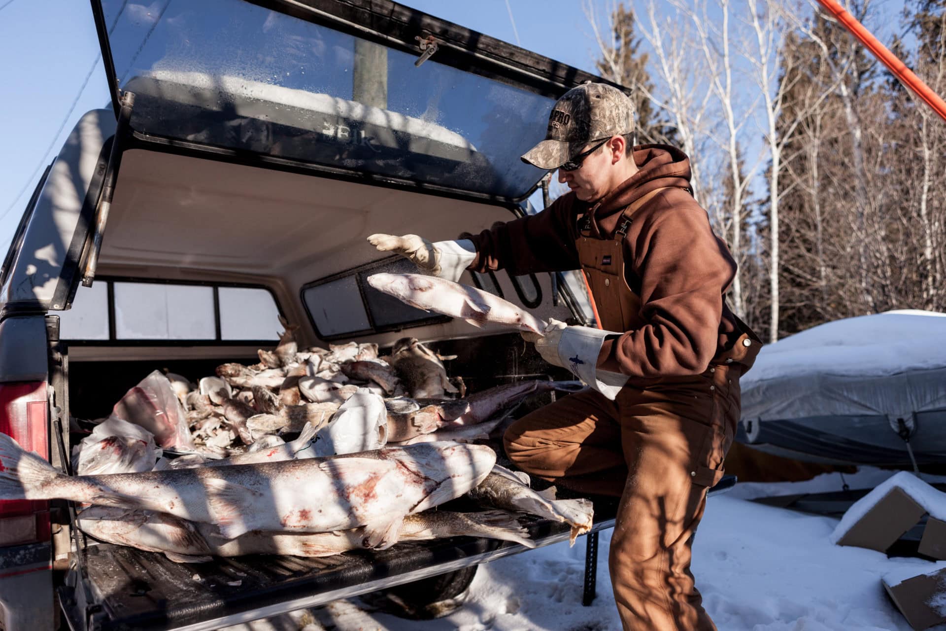 Robert Grandjambe Jr. fish Fort Chipewyan oilsands