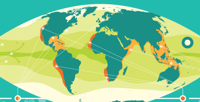 Climate-Change-Adaptation-CISL.png