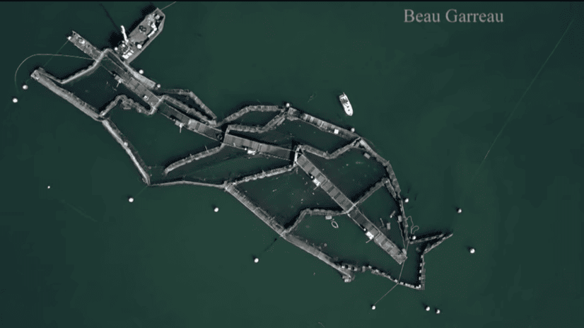 Cooke-Aquaculture-Fish-Farm-Escaped-Salmon-Beau-Garreau.png