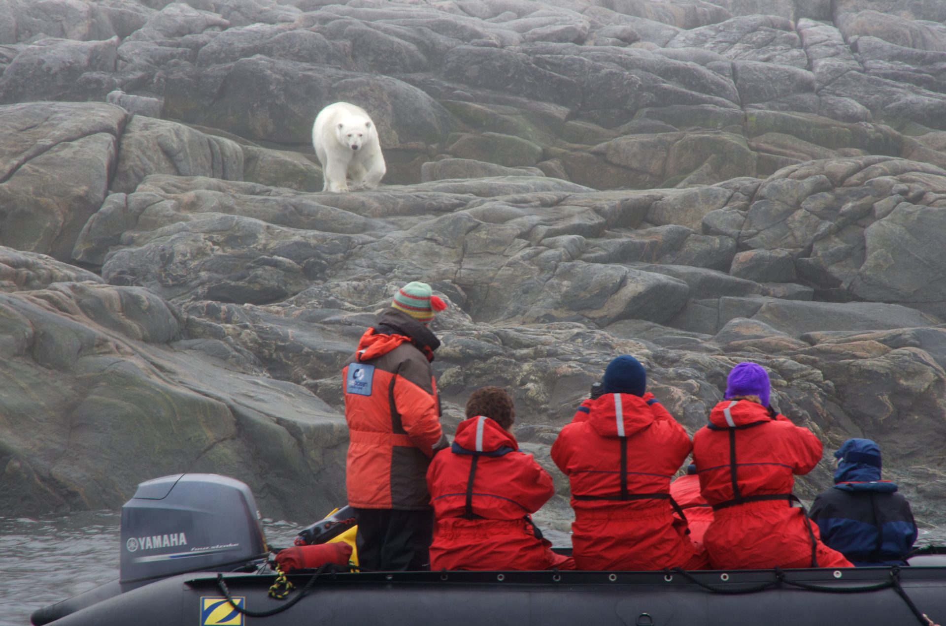 Arctic tourism