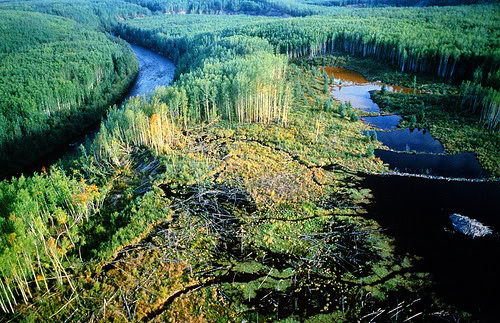 McKay-River-Gord-McKenna.jpg