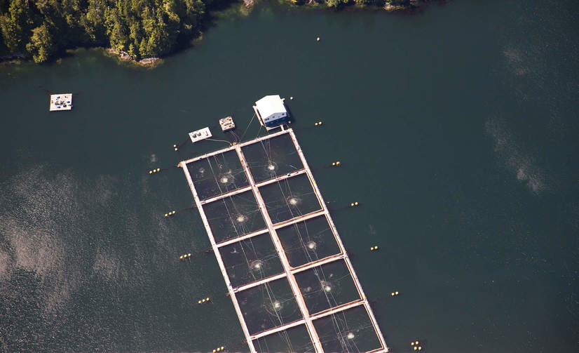 WSFishFarmAerial.jpg