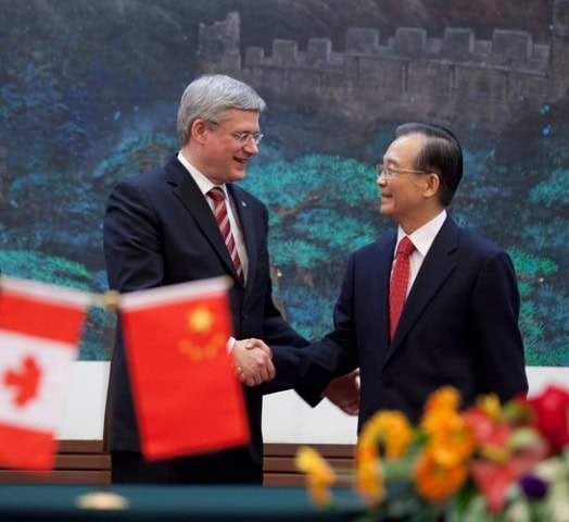 china-harper_0.jpeg