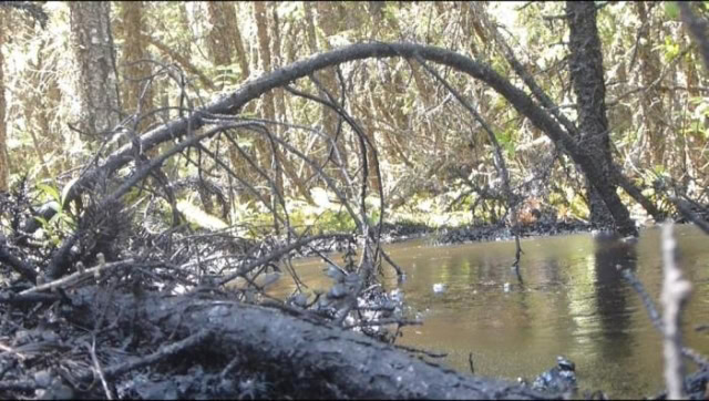 cold-lake-bitumen-spill.jpg