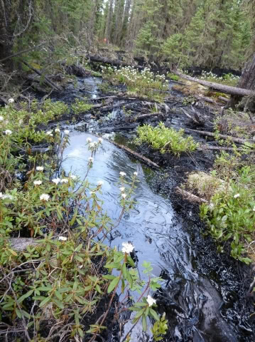 cold-lake-tar-sands-bitumen-spill.jpg