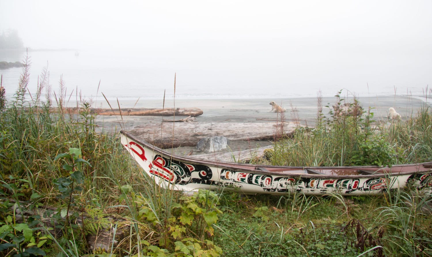 Great Bear Rainforest