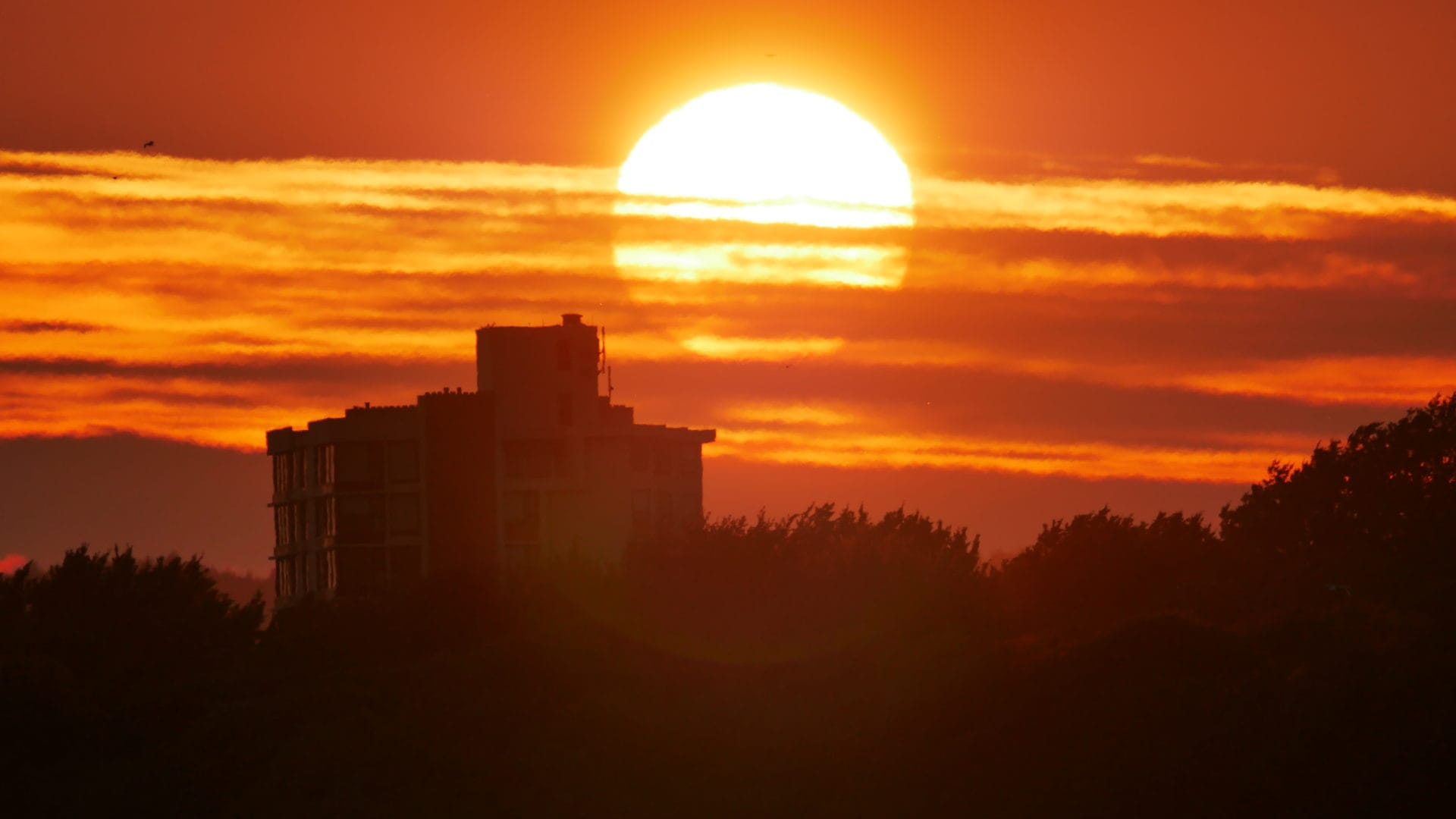 Smoke Apocalypse Climate Change Ecological Grief