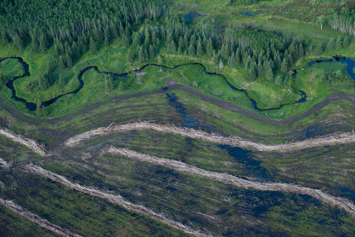 Blueberry First Nation territory.