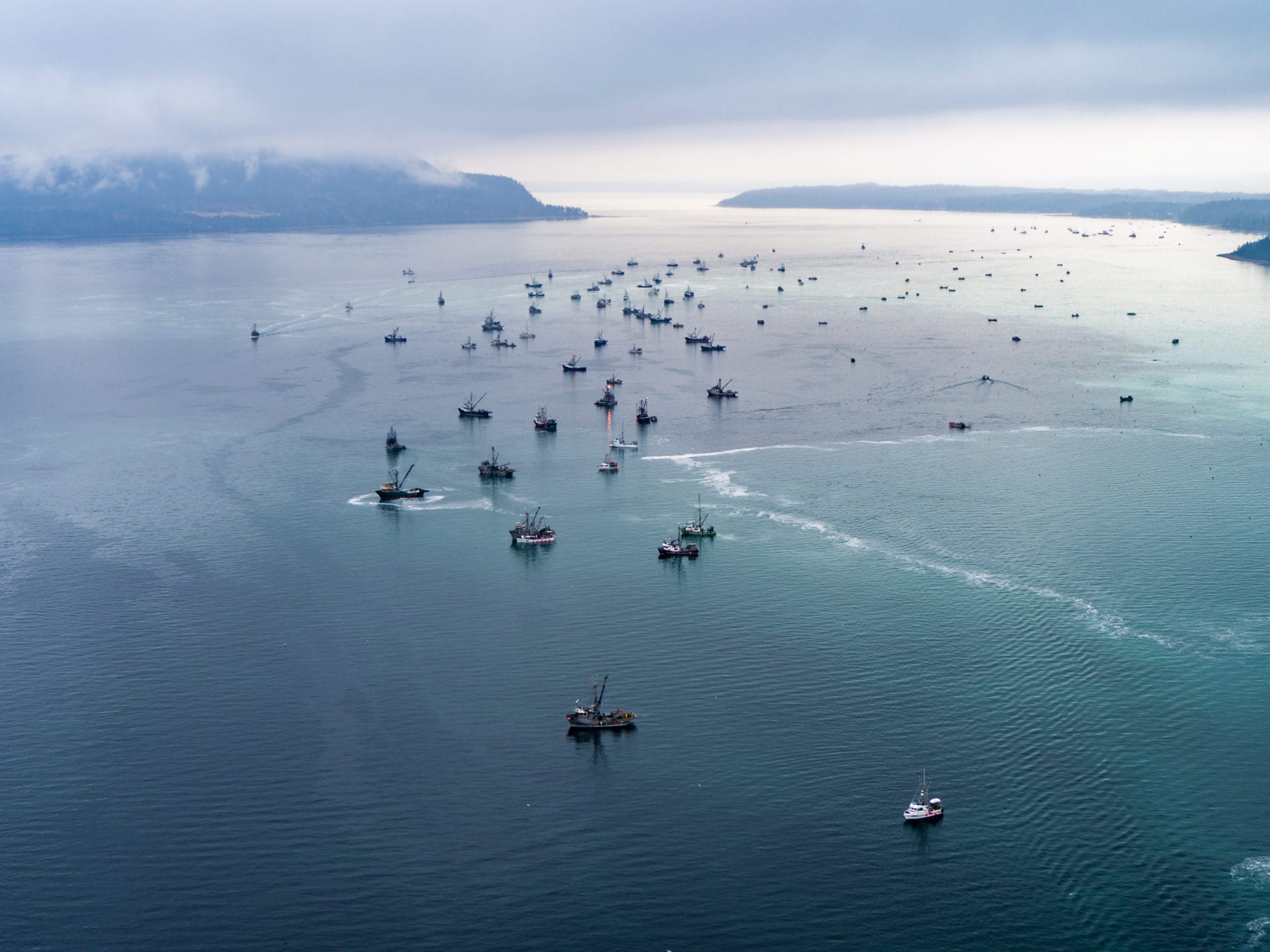 Herring fishing boats