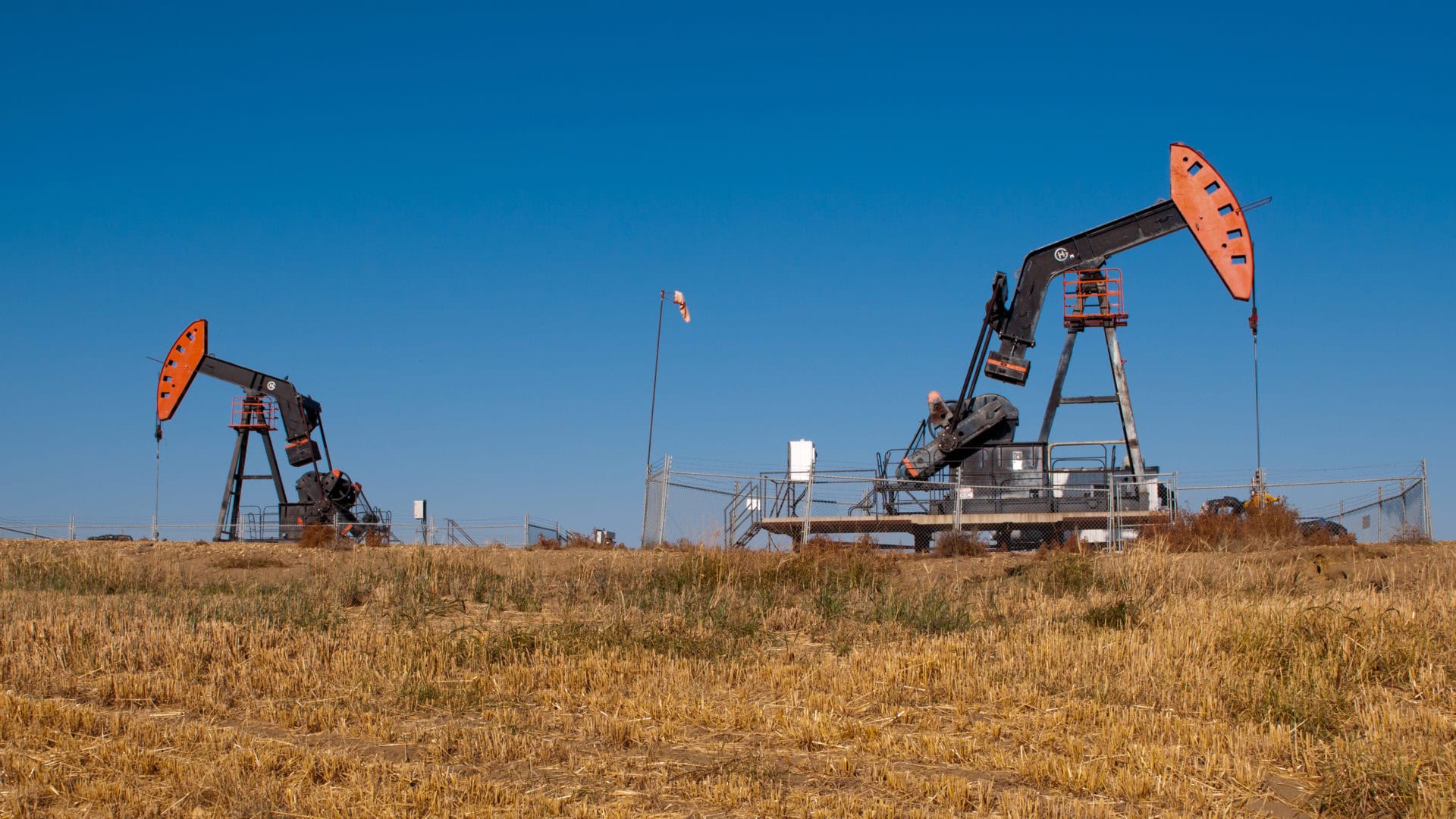 Pumpjacks Alberta wheatfield