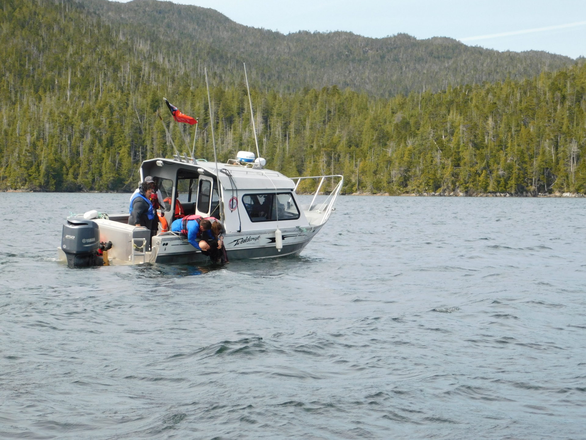 Coastal watchmen training