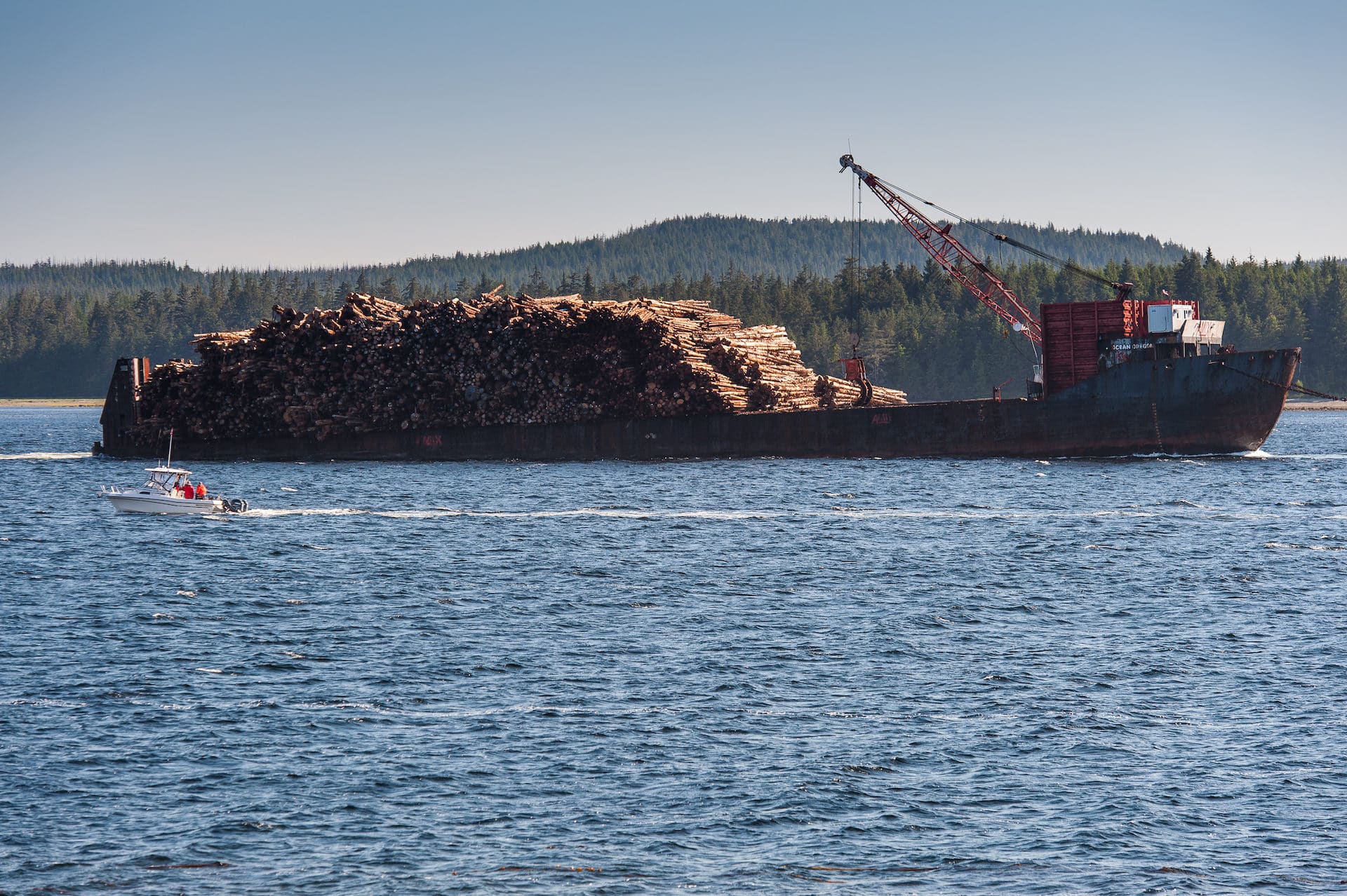 Garth Lenz Haida Gwaii cedar