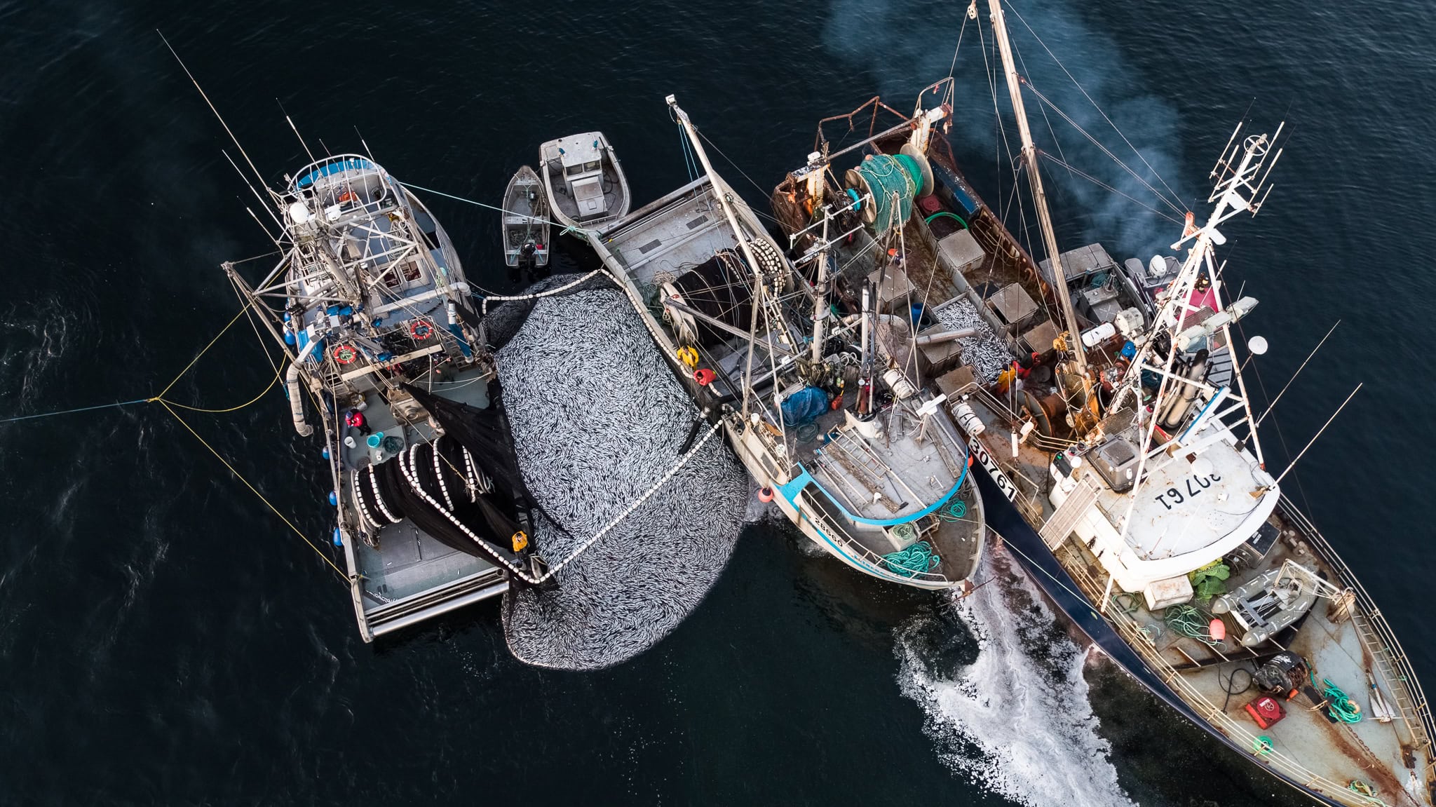 Herring boats Strait of Georgie