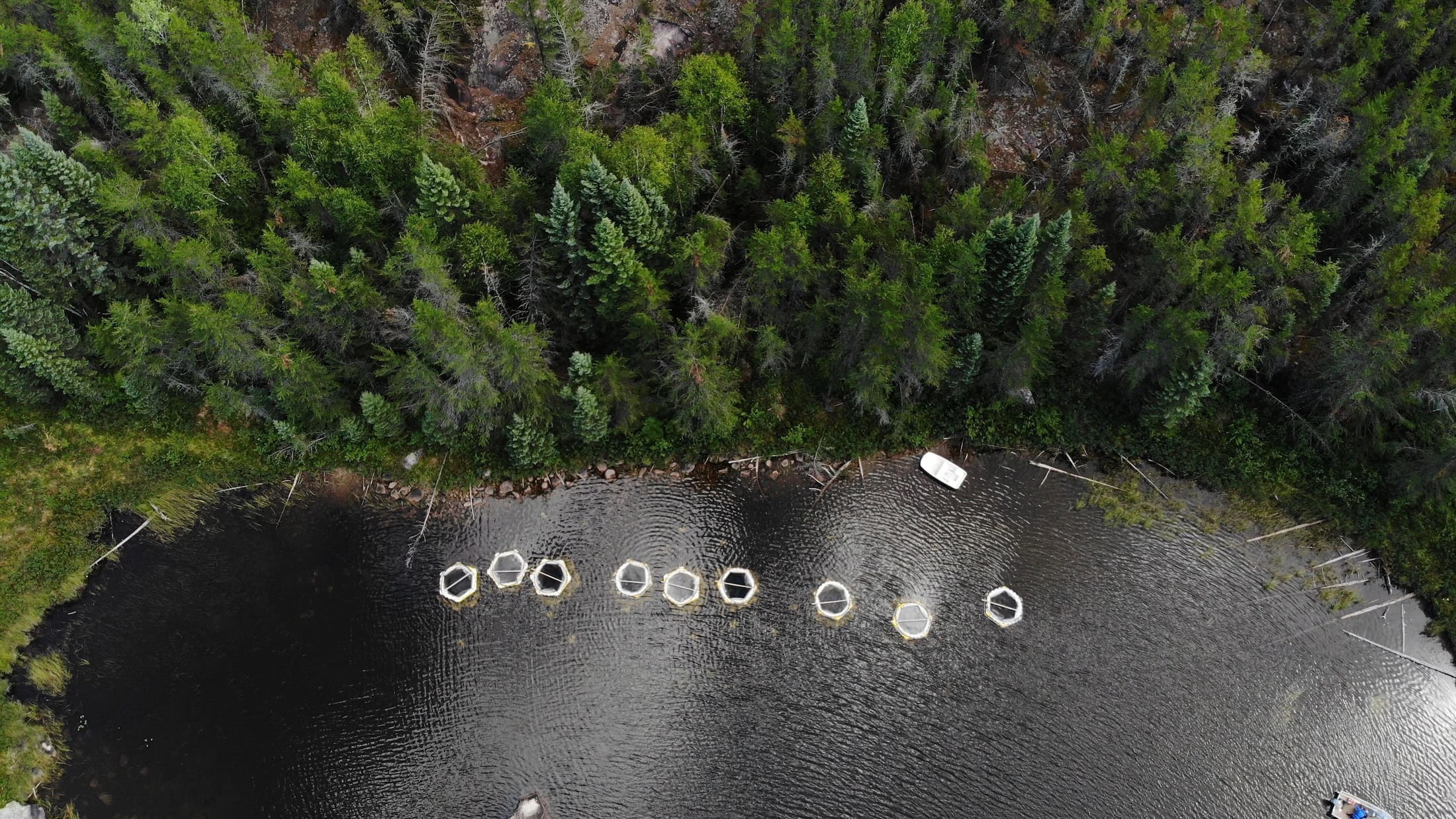 An aerial shot of the research enclosures containing various doses of selenium in Lake 239 at Ontario’s Experimental Lakes Area. Photo: Tyler Black / ELA