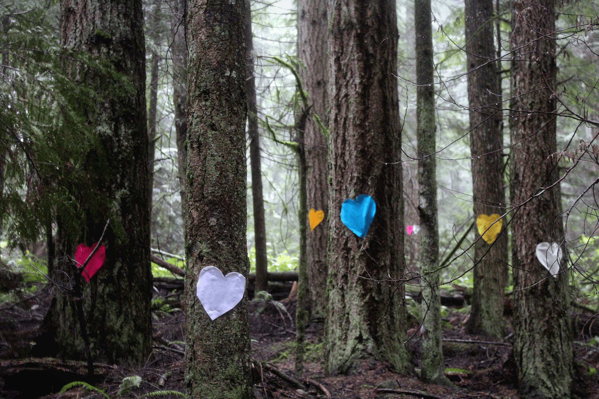 Clack Creek forest felt hearts