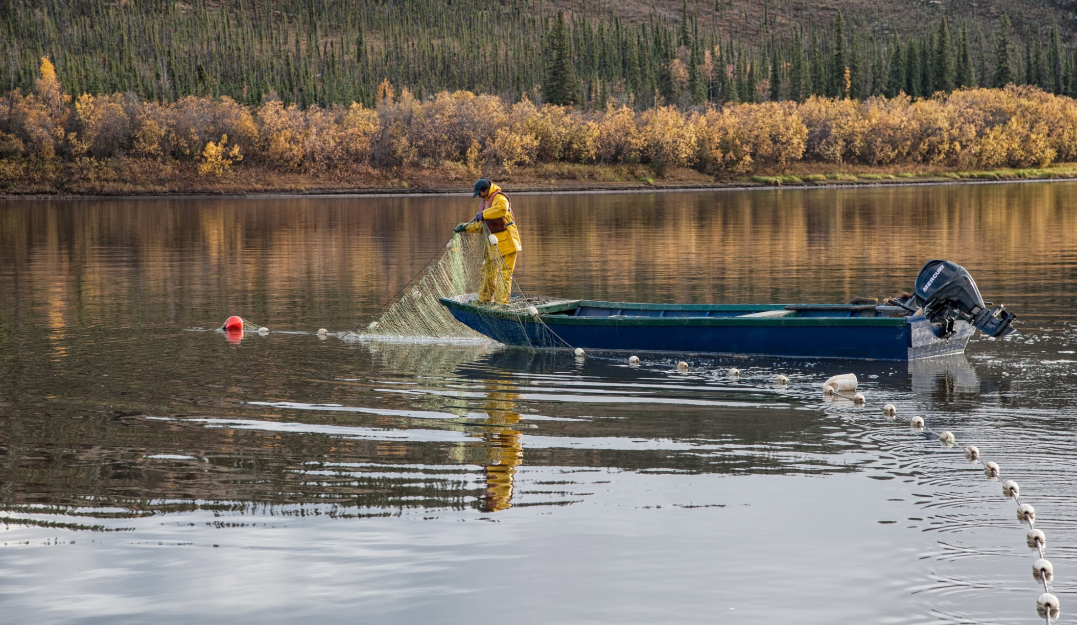 Vicky Josie salmon fishing Porcupine River, Yukon Territory, Canada.