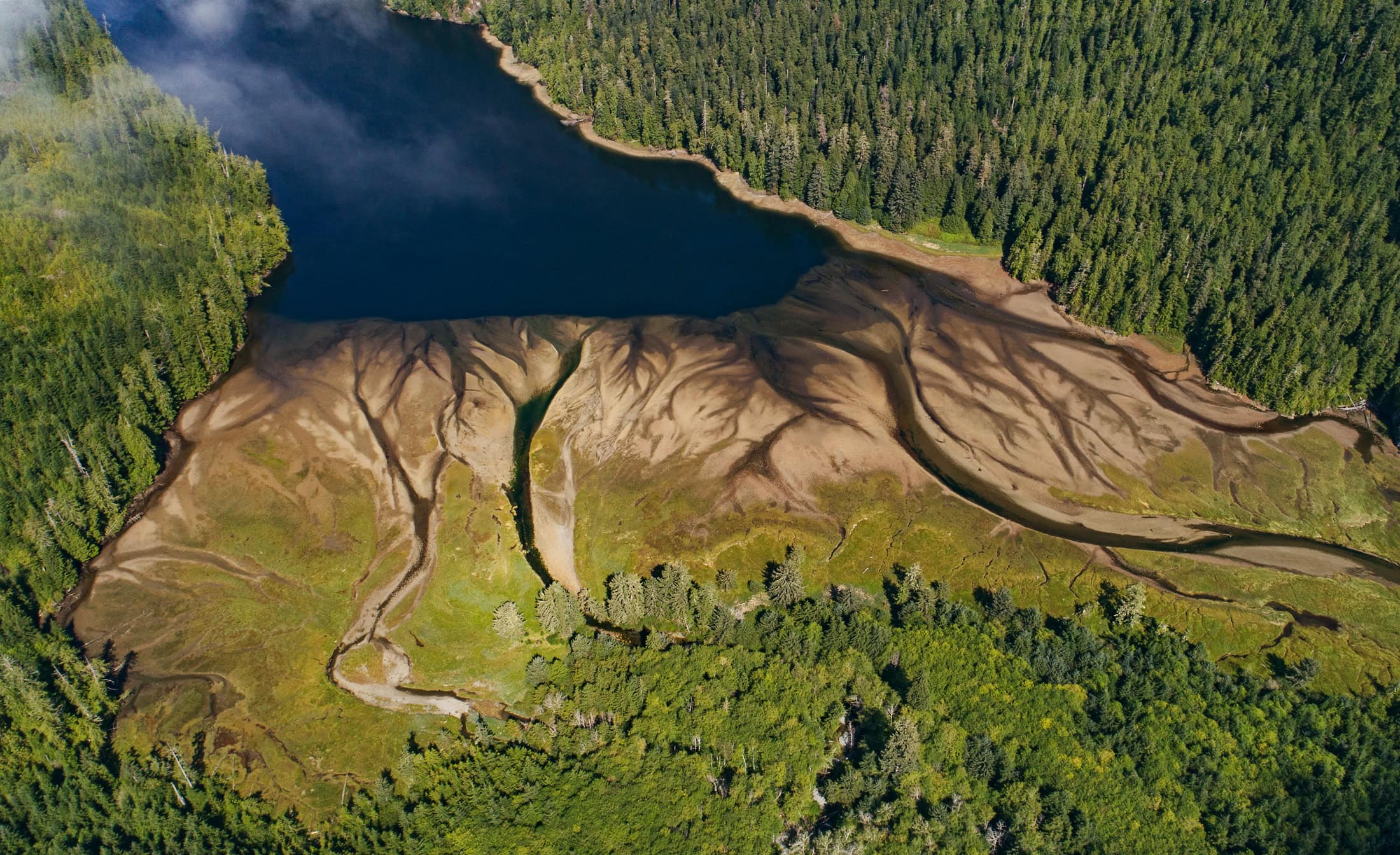 Nuchatlaht Traditional Territory Nuchatlitz Inner Basin Nootka Island Troy Moth