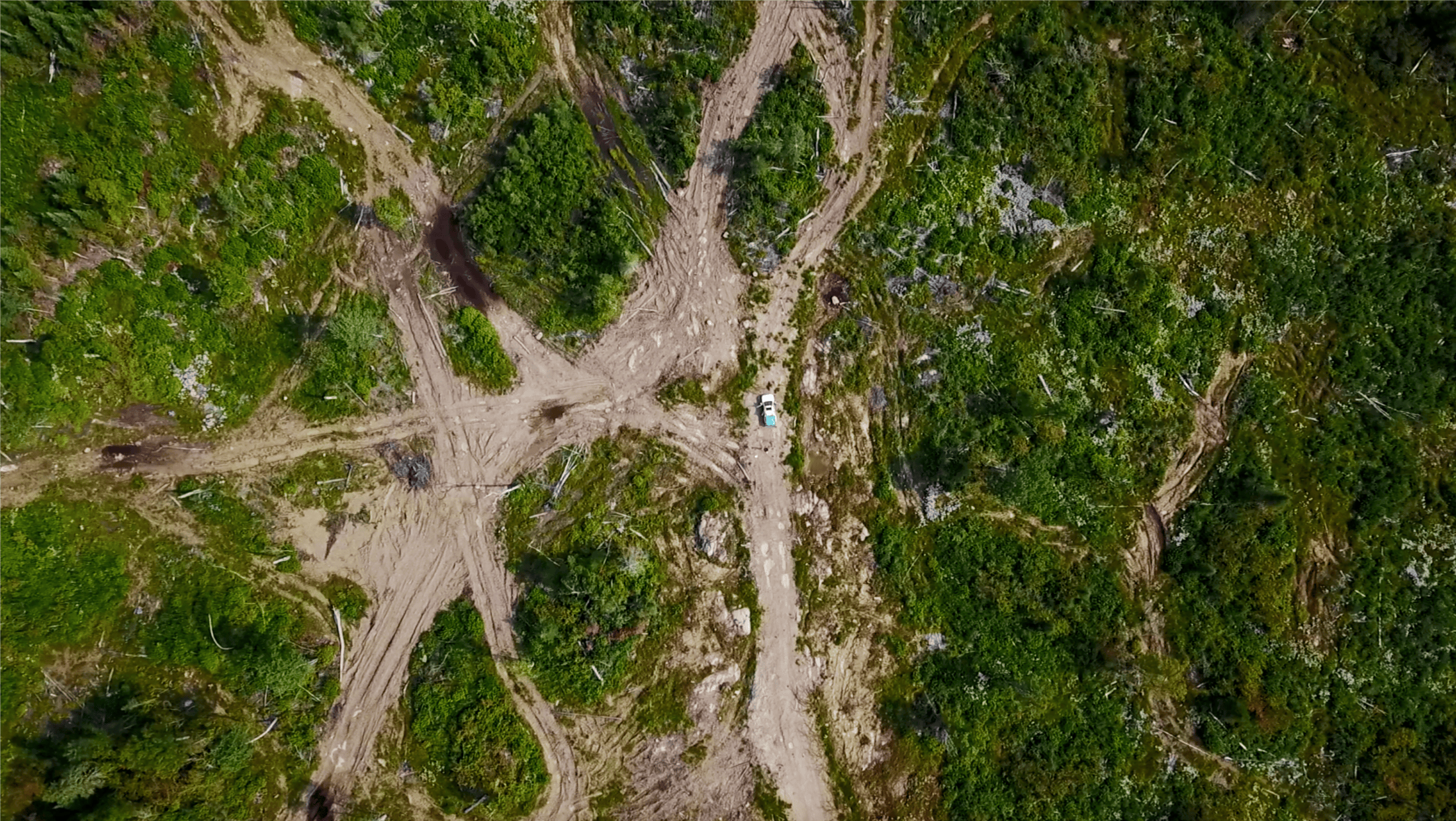 Roads in the boreal forest Ontario Trevor Hesselink