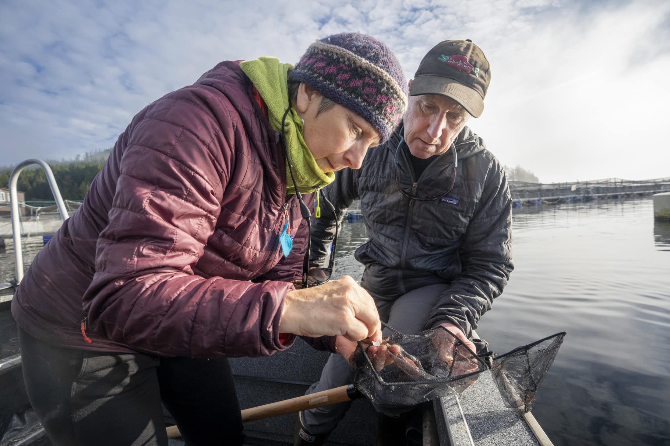 Gathering samples- credit Jeremy Mathieu