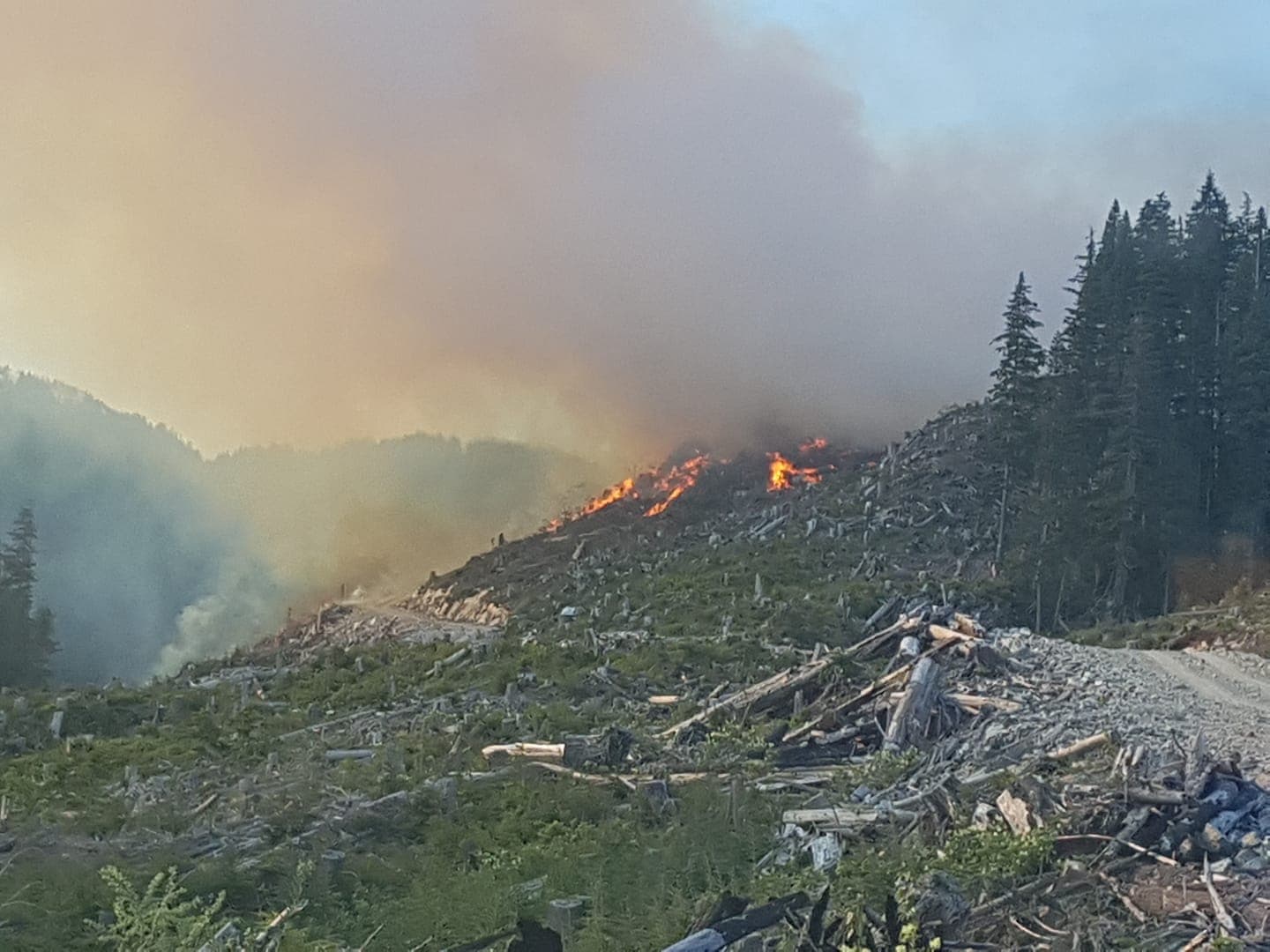 Bish Creek wildfire