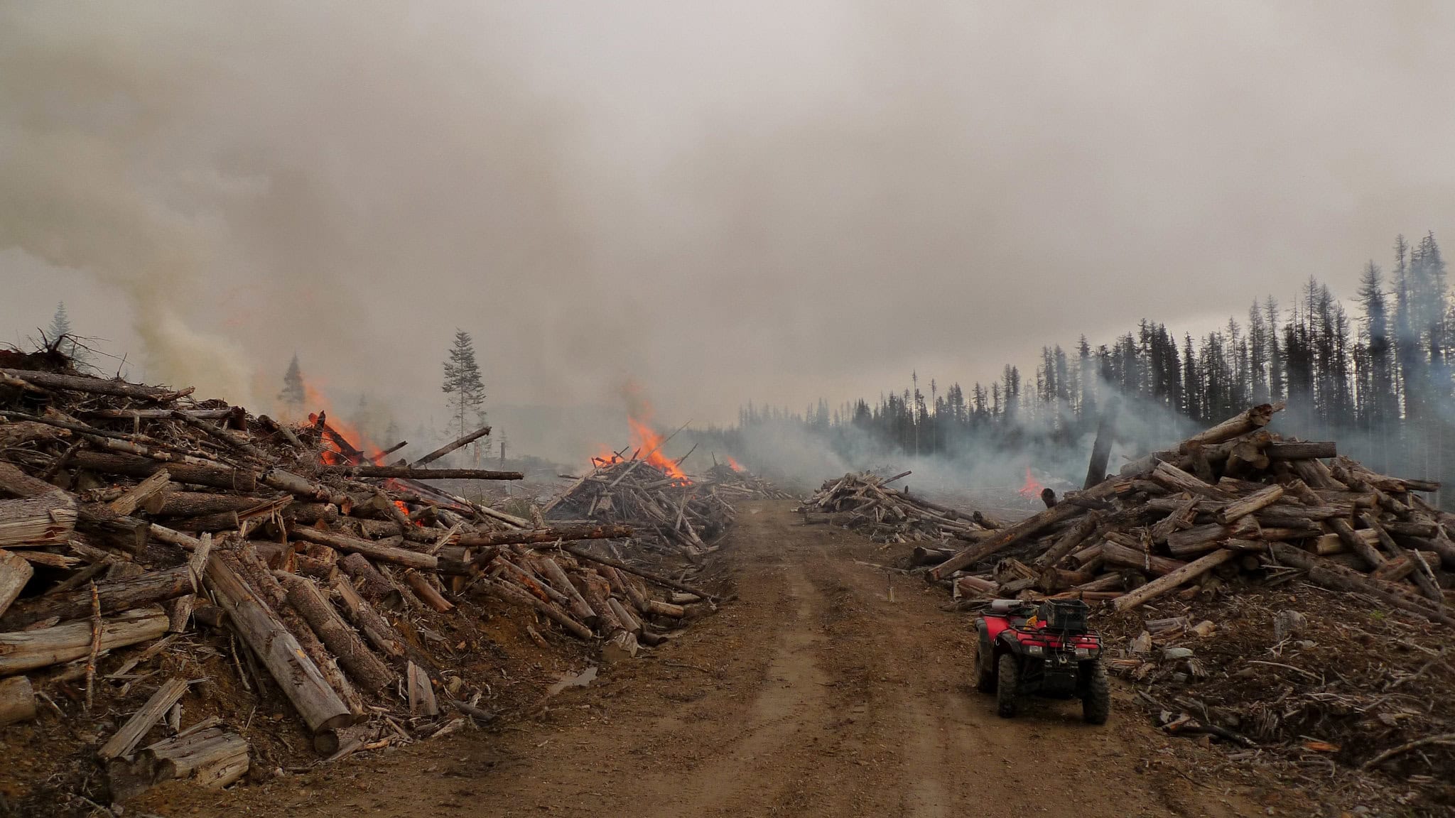 Slash pile burning