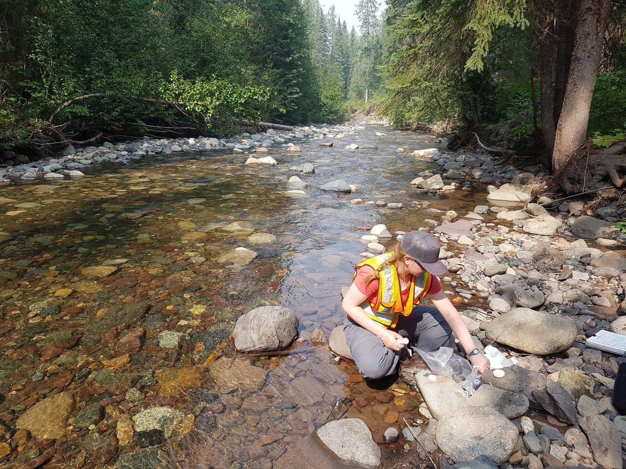 Telkwa Coal research