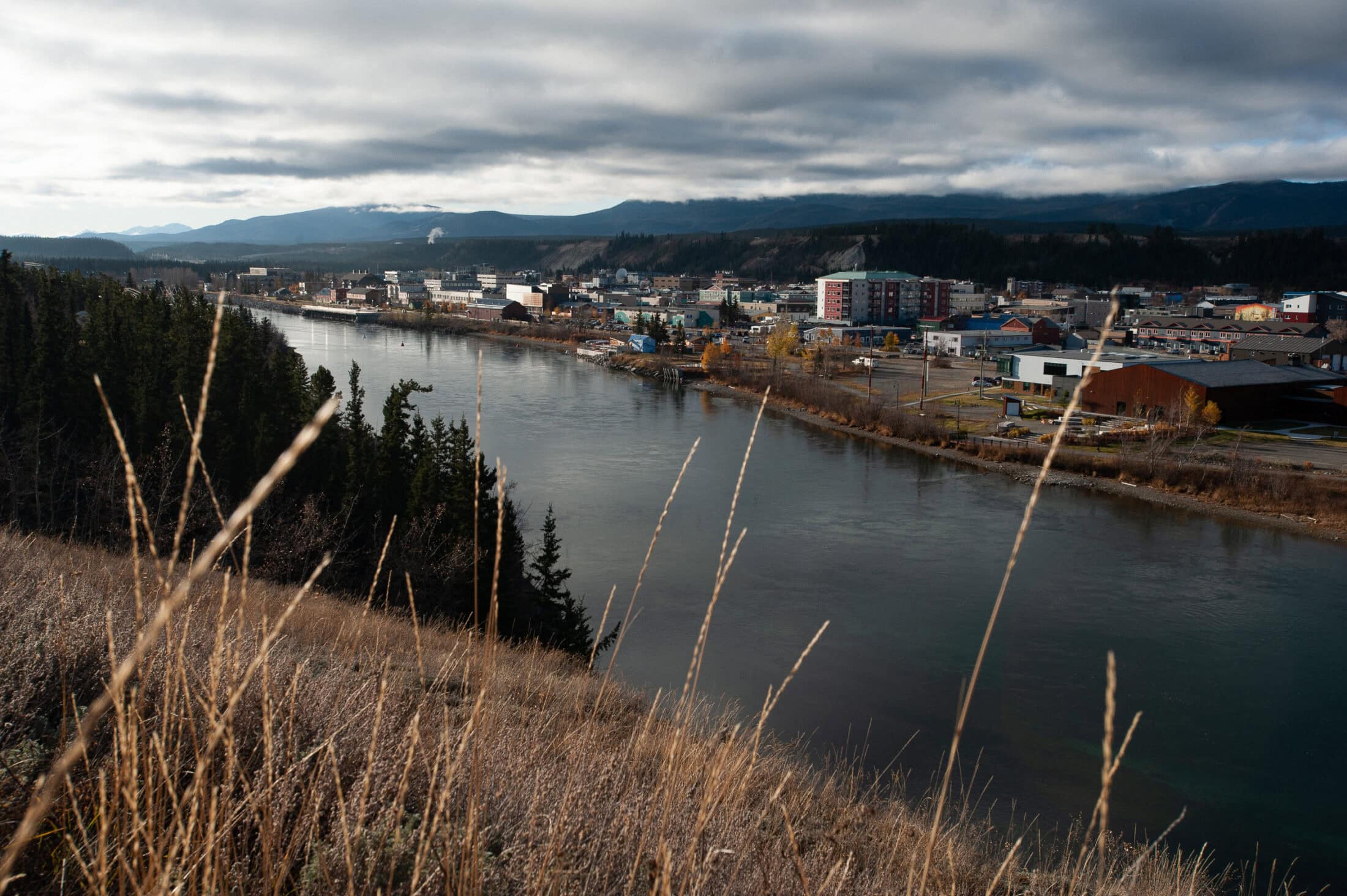 City of Whitehorse Julien Gignac The Narwhal