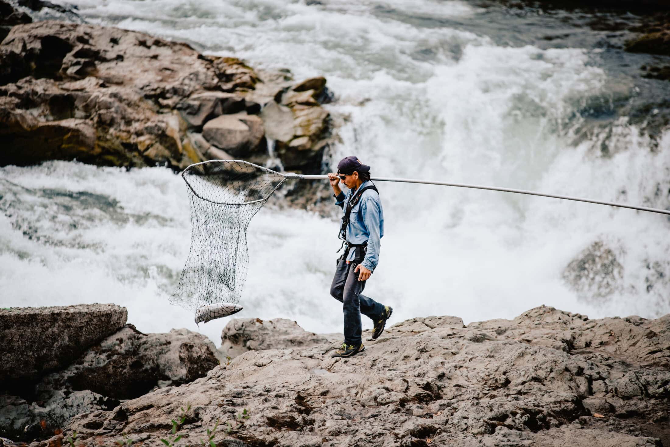 Wet’suwet’en food fisher