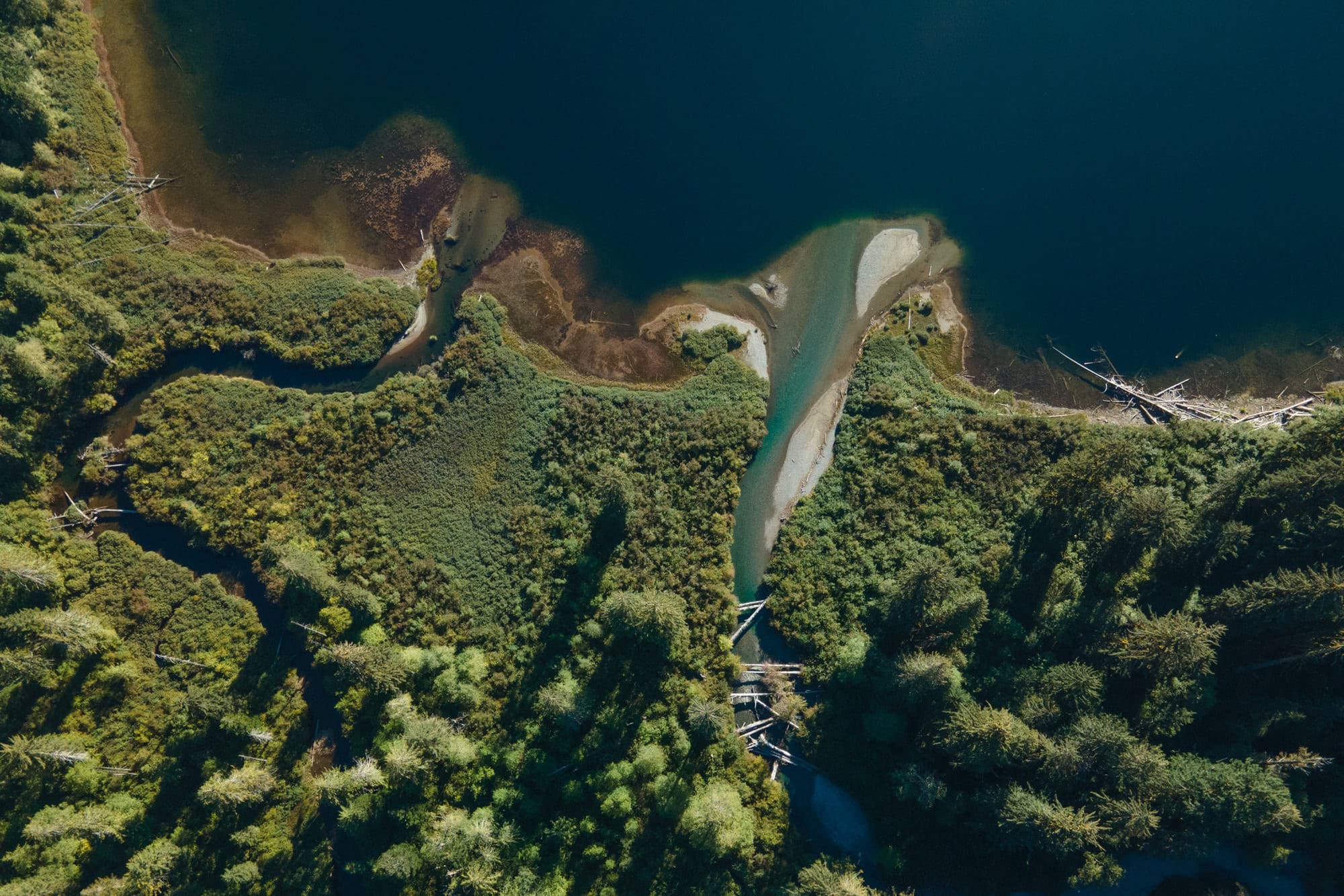 The Oktwanch River and upper Muchalat River