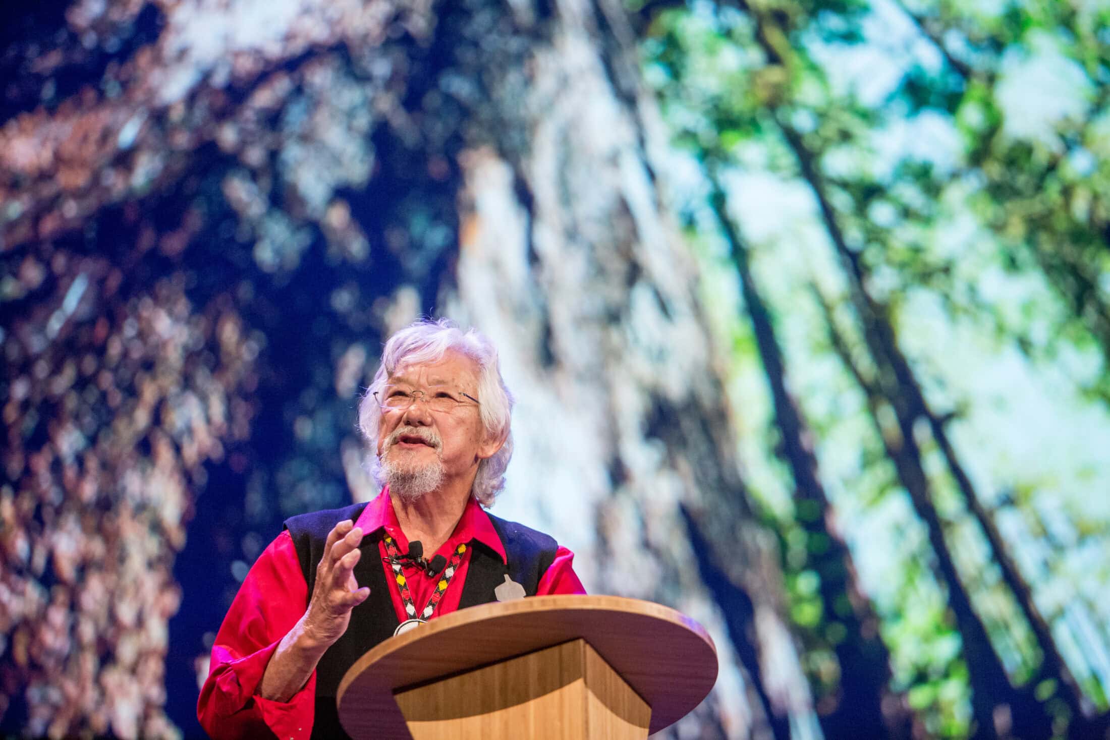 David Suzuki Nature of Things