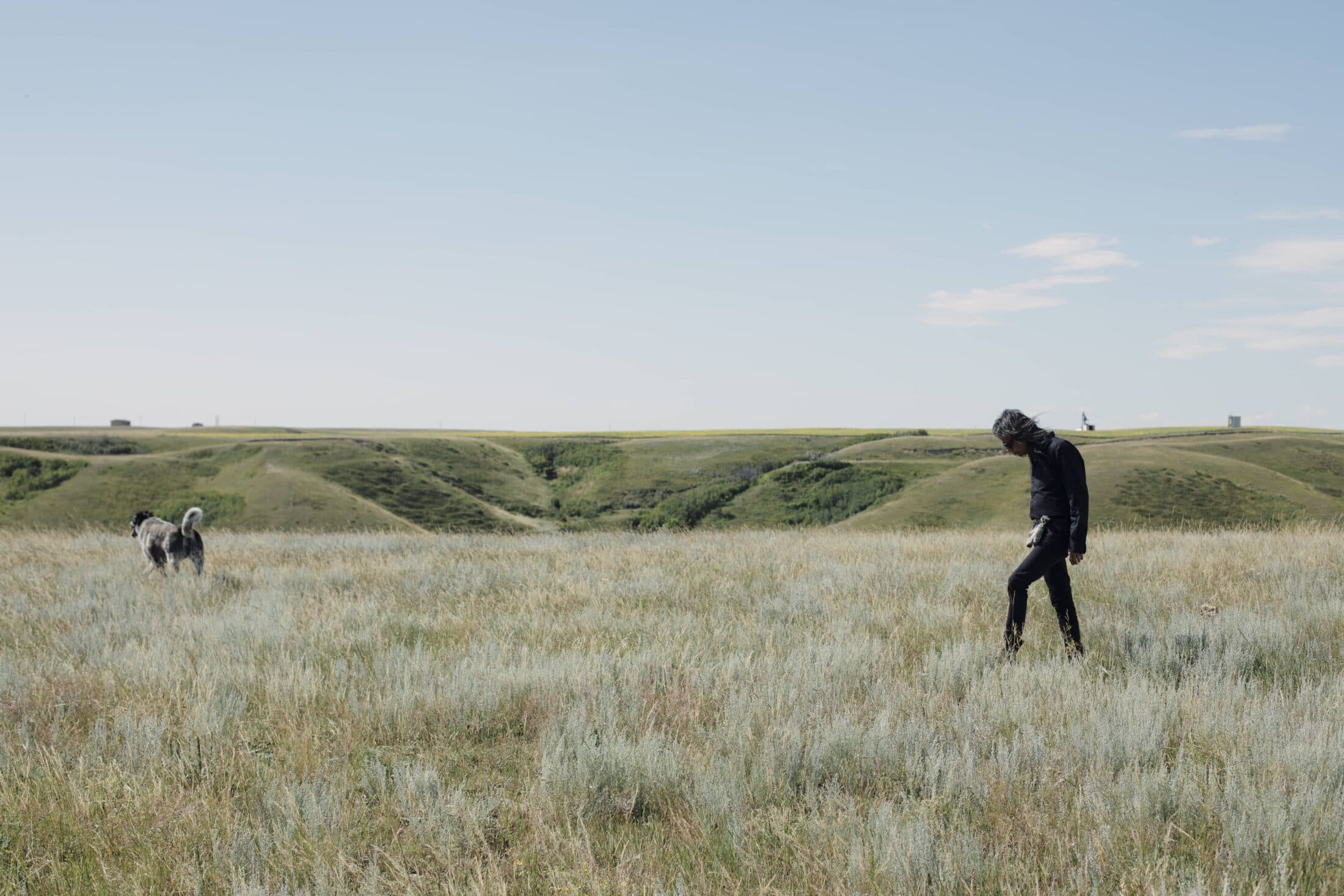 Grasslands-william-singer